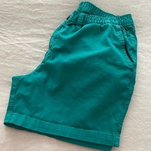 Chubbies 5.5in shorts